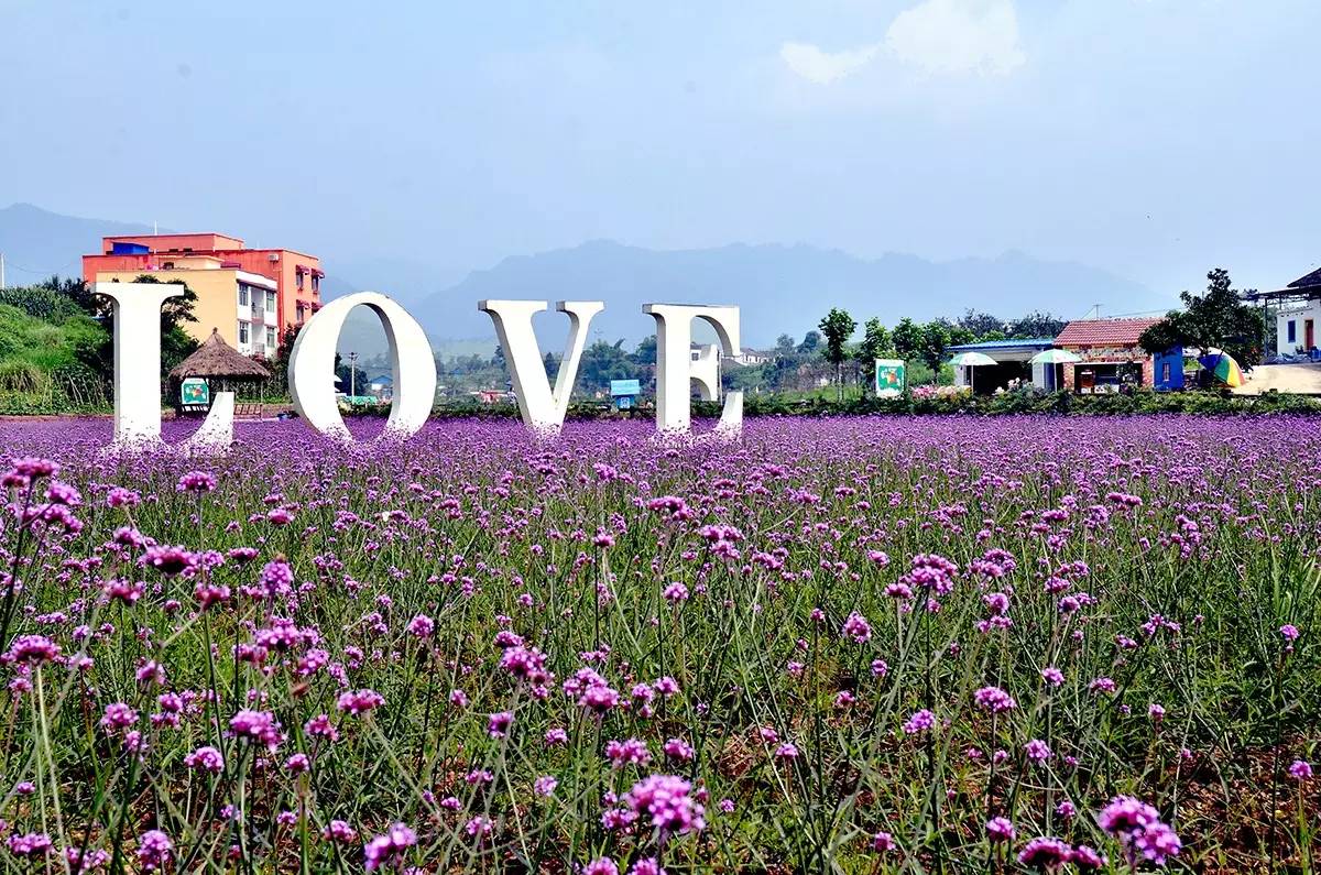 重庆免费景区有哪些地方,重庆景区有哪些景点门票免费