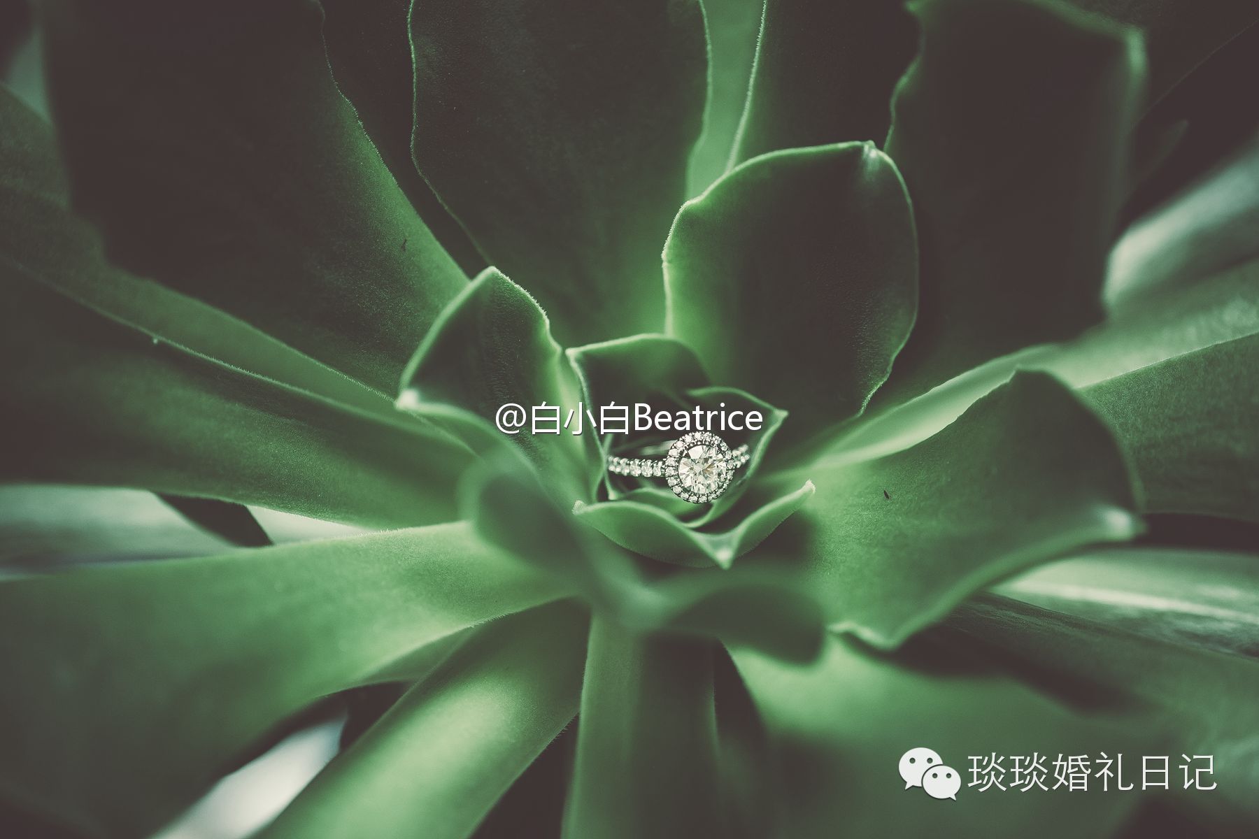 备婚狂|让婚礼变成一场冒险，并不在我的计划之内——女神级备婚狂白小白の备婚记