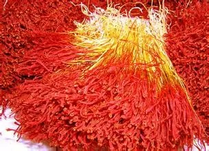 315晚会:“饿了么”惊现黑心作坊!这一年还有哪些315大事件?与你相关!