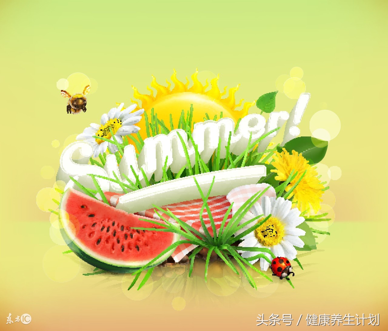 什么酵素是好酵素,夜间酵素和日间酵素黄金酵素