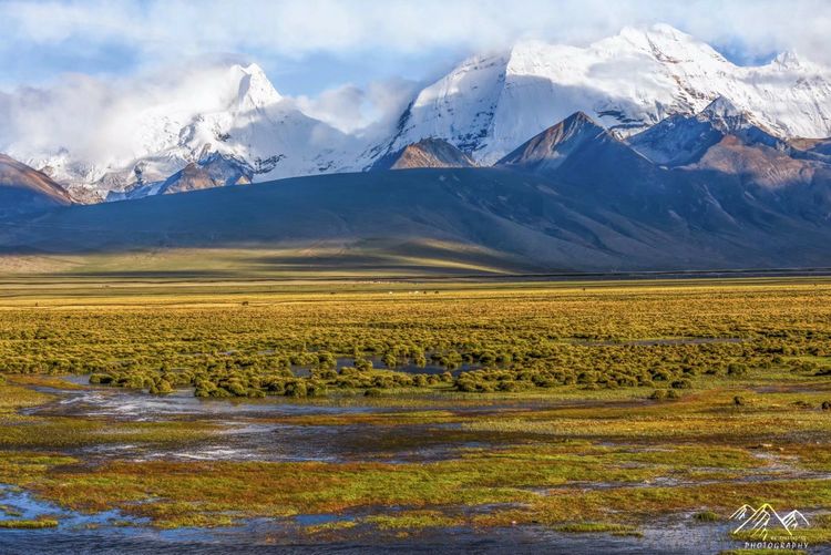 在最美的时光遇见你散文,在最美的时光遇见最美的你