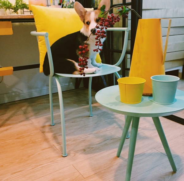 必须知道的家装真相,推荐几款最好看的家装