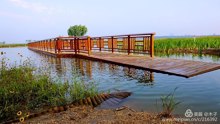 一花一叶总关情,一辆单车游古城,美哉正定!