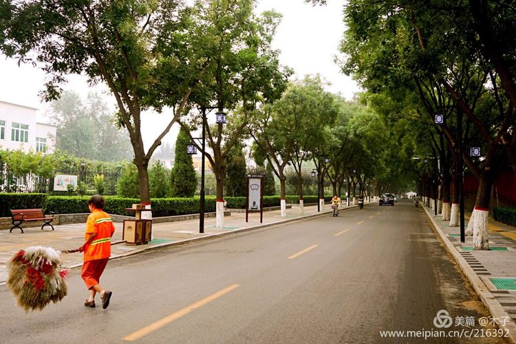 一花一叶总关情,一辆单车游古城,美哉正定!