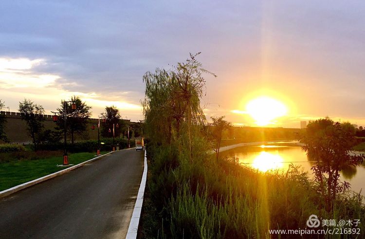 一花一叶总关情,一辆单车游古城,美哉正定!