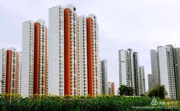 一花一叶总关情,一辆单车游古城,美哉正定!