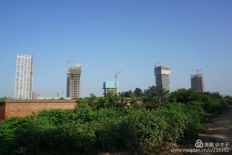 一花一叶总关情,一辆单车游古城,美哉正定!