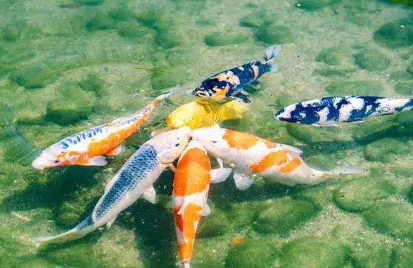 濑户——喜欢你那一抹蓝色光芒(上)