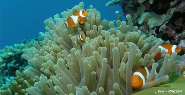 十个海岛,10个海岛