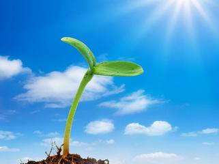 18岁得了尿毒症还要坚持治疗吗,13岁得肾炎是怎么引起的