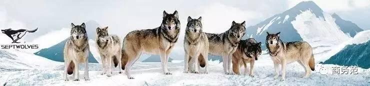 七匹狼7个明星代言,七匹狼3.9元