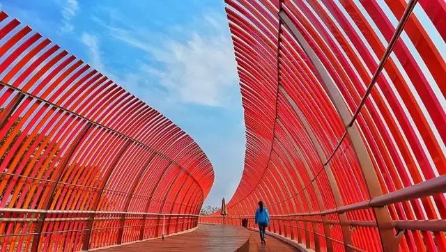 还有哪些实用的手机摄影技巧,手机怎么拍800*800的照片