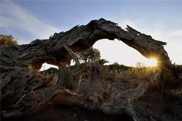 三千年的情缘，三千年的企盼只为这一季的金秋（附攻略）