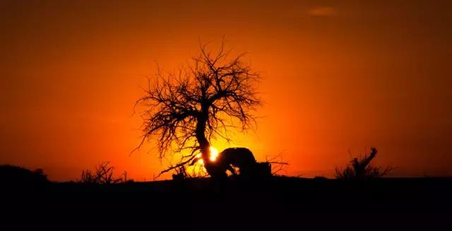 三千年的情缘，三千年的企盼只为这一季的金秋（附攻略）