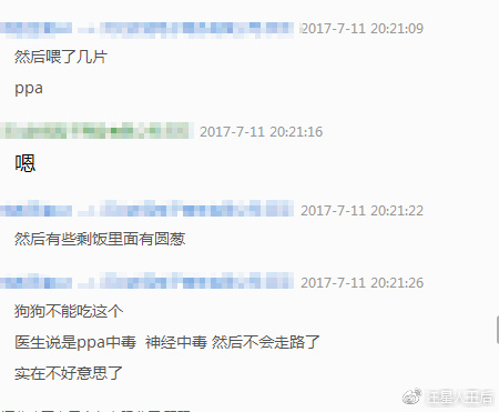 这是什么牌子的狗粮,4个半月边牧狗狗吃的狗粮