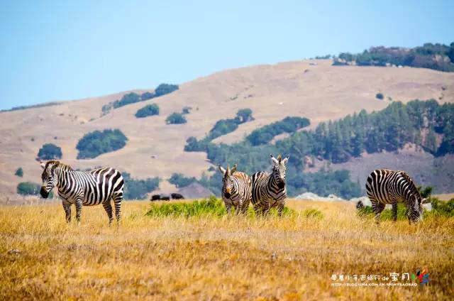 适合亲子旅行的海岛,亲子游玩的海边一日游
