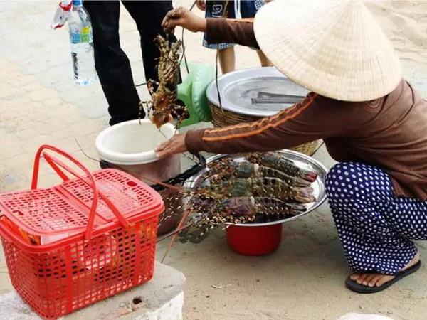 干货篇！玩过这些，才算没白来芽庄