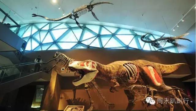 上海迪士尼私家车停车攻略,广州到上海迪士尼乐园攻略