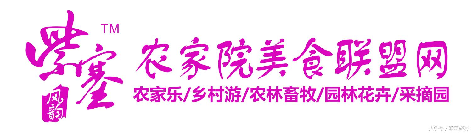 临安浙西大峡谷民宿,临安龙井峡有哪些农家乐