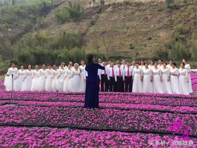 临安浙西大峡谷民宿,临安龙井峡有哪些农家乐