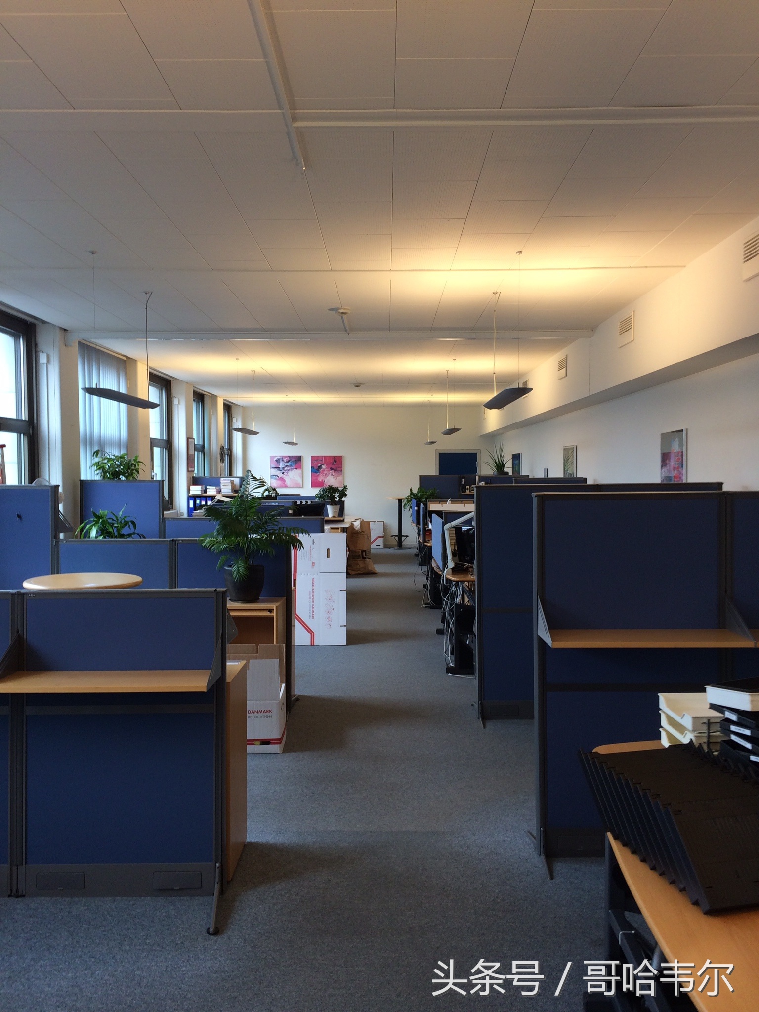 在丹麦打工好吗,去丹麦工作应该了解什么