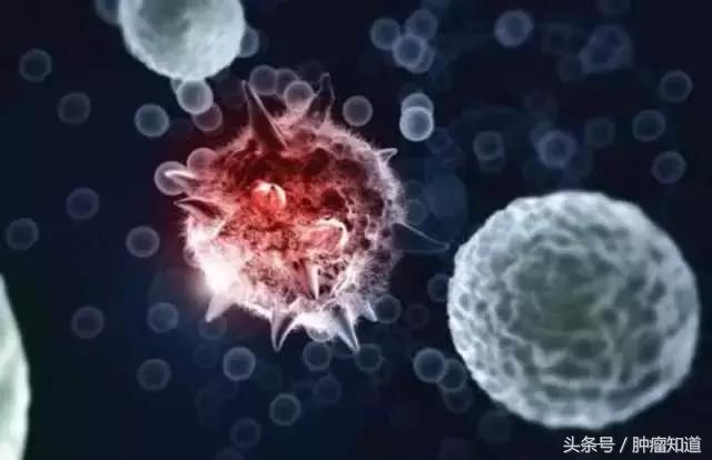 放化疗前准备工作,放化疗科患者饮食宣教