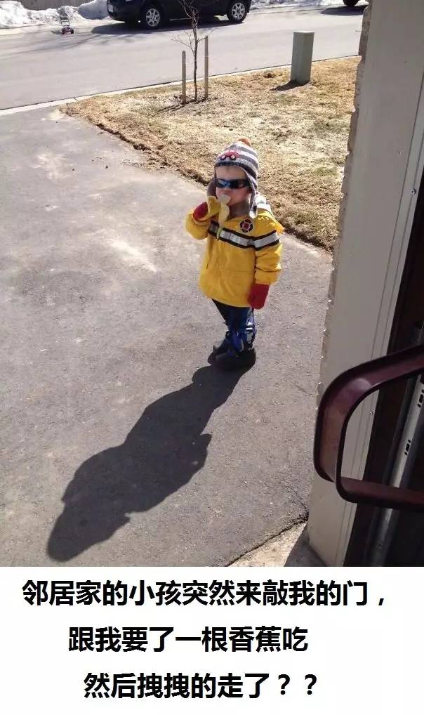 桌边社0824：想在中国找到不用抗生素的鸡，难度很大