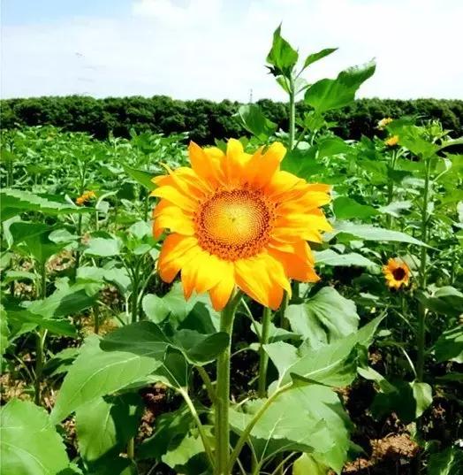 宁波浪漫的约会地点,宁波求婚地方推荐