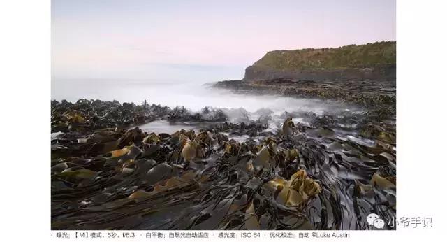 尼康d850全新还能再战几年,尼康d850是一代神机么