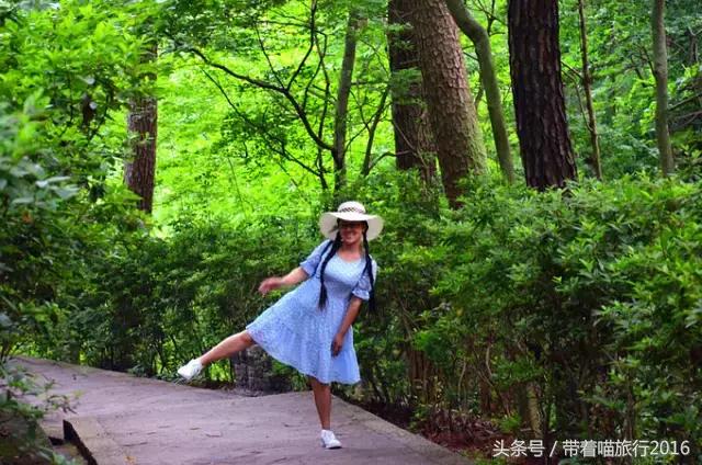 游浙江宁波奉化溪口雪窦,奉化溪口雪窦景区