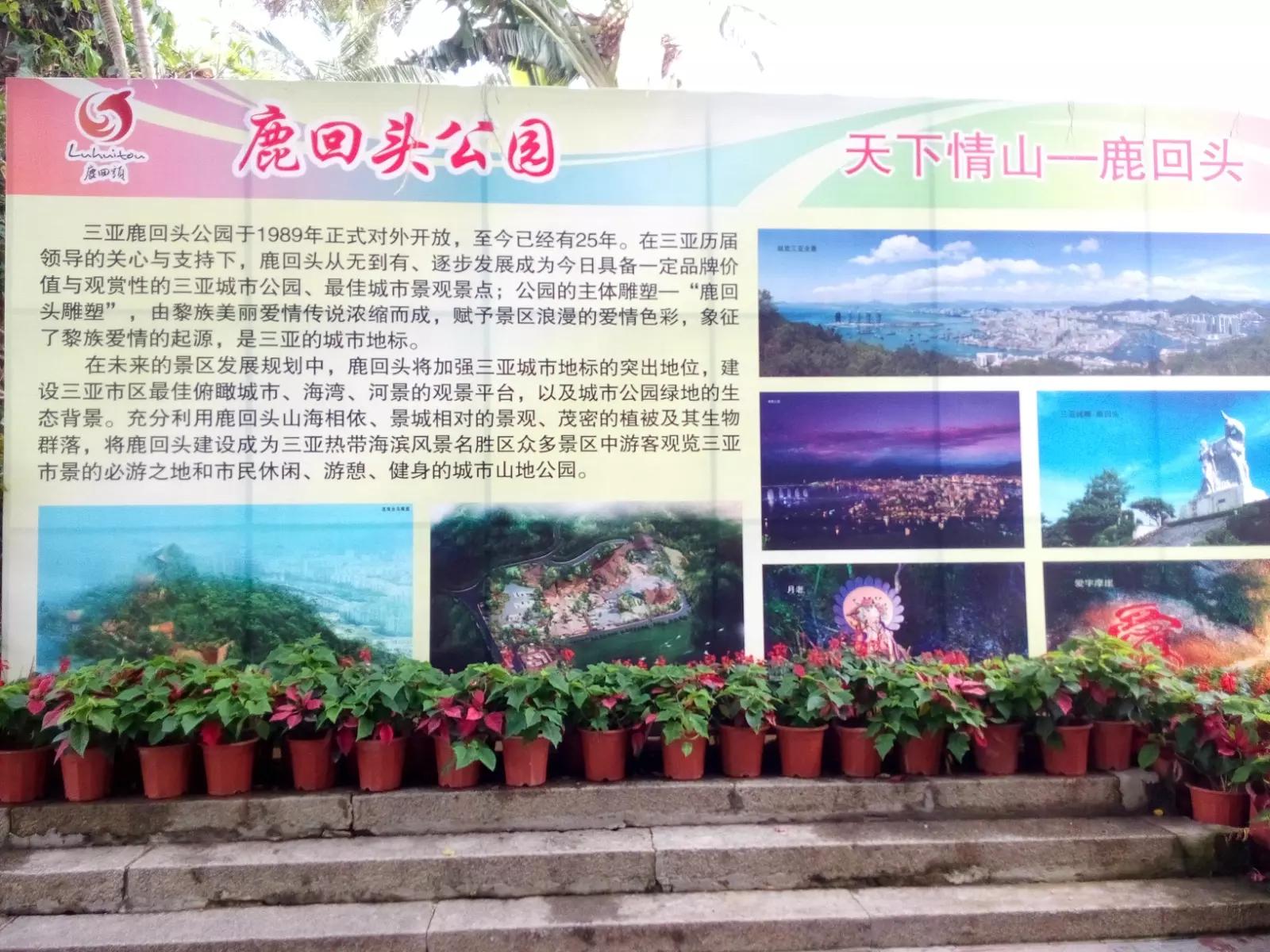 新婚夫妻度蜜月哪里最好,新婚夫妻第一次度蜜月