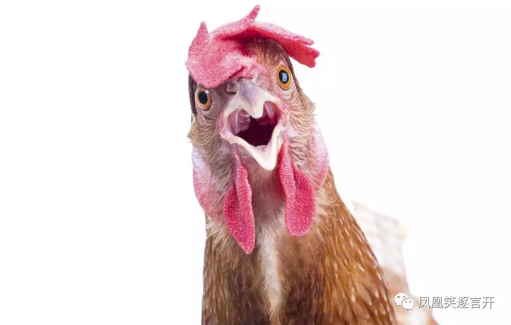 谣言不一定是真的还是假的,谣言不澄清就是真的吗