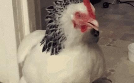 谣言不一定是真的还是假的,谣言不澄清就是真的吗