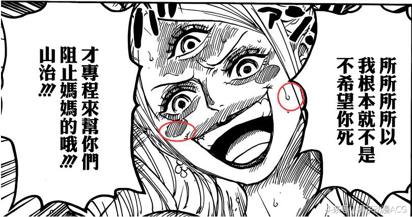 海贼王1113话路飞娜美,海贼王娜美666话