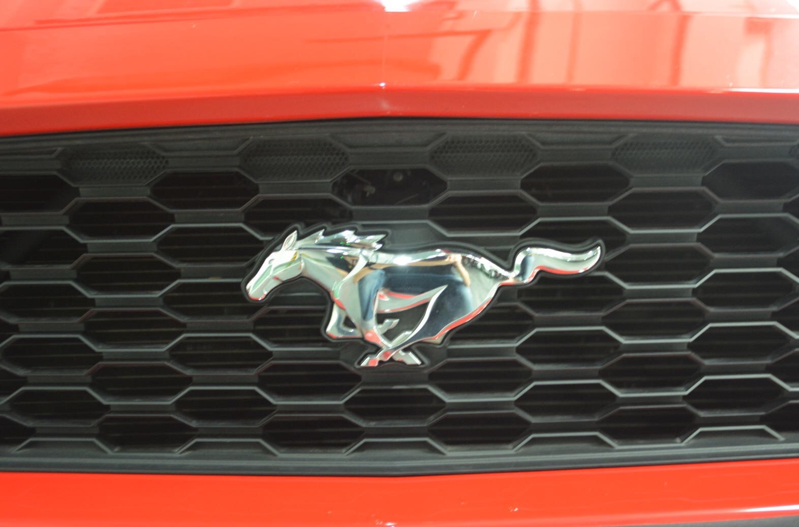 福特野马2.3t野驴,福特野马2.3帅气视频