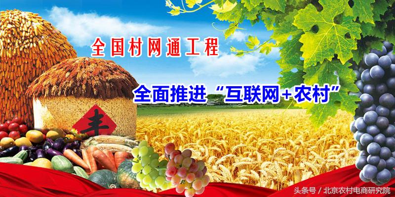 回农村做电商有什么扶持,回农村创业靠谱吗