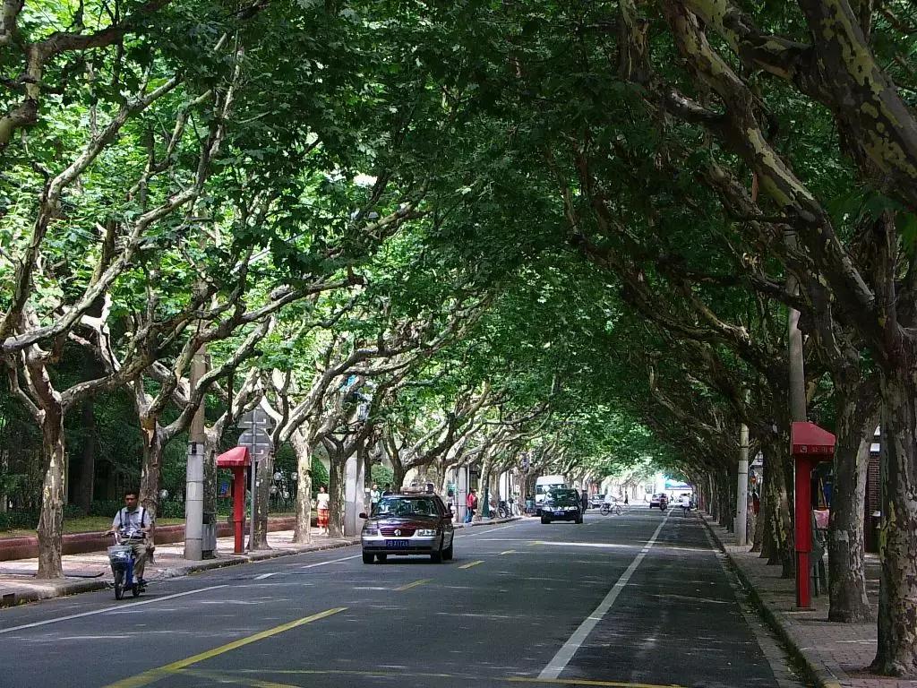 荟眼|餐饮软件代理商必读,某著名软件的渠道政策大揭秘