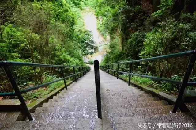 游浙江宁波奉化溪口雪窦,奉化溪口雪窦景区