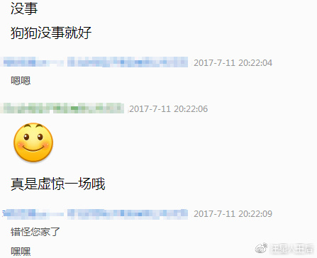 这是什么牌子的狗粮,4个半月边牧狗狗吃的狗粮