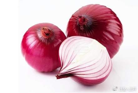 这是什么牌子的狗粮,4个半月边牧狗狗吃的狗粮