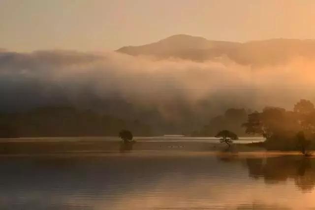 几分钟了解佳能6d2,尼康d850到底有多厉害