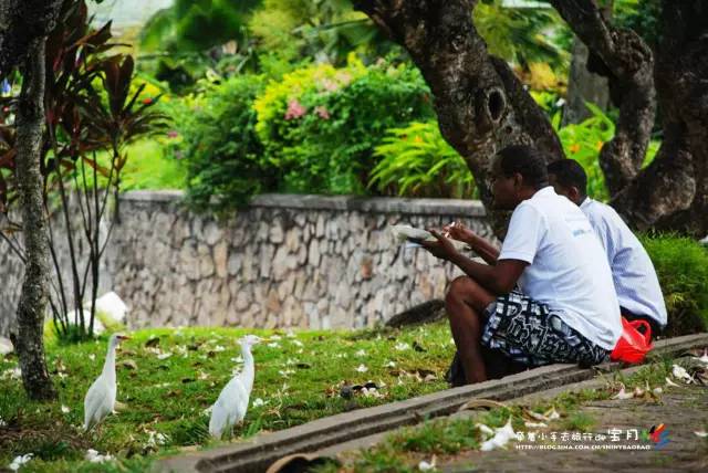 适合亲子旅行的海岛,亲子游玩的海边一日游