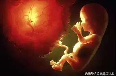 妈妈我是为你而来的在线阅读,妈妈我是为你而来