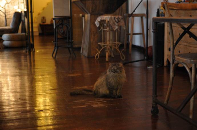 木地板怎么去除酸味,家里木地板怎么去尿味