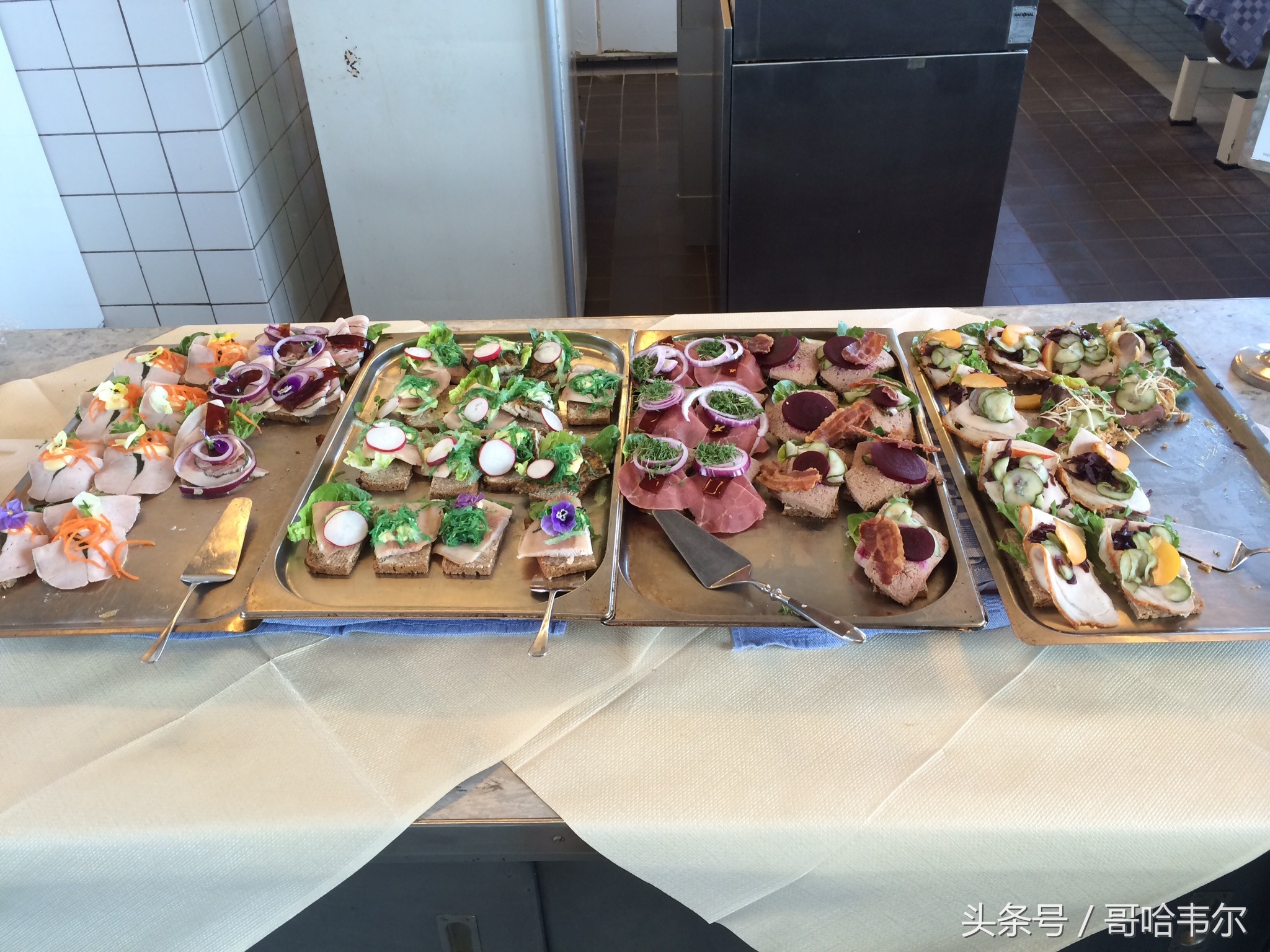 在丹麦打工好吗,去丹麦工作应该了解什么