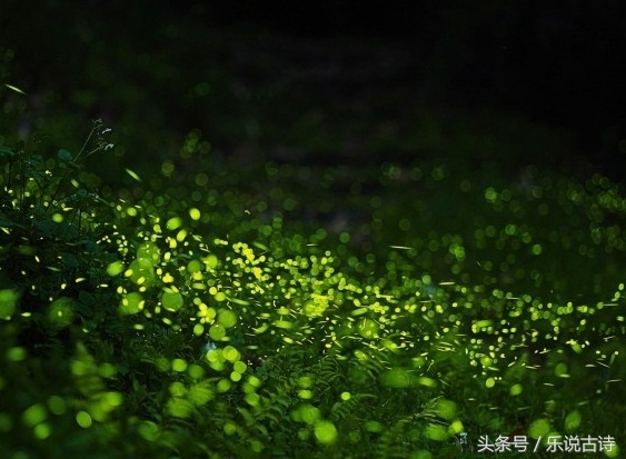 七夕卧看牵牛织女,卧看牵牛织女星天阶夜色凉如水