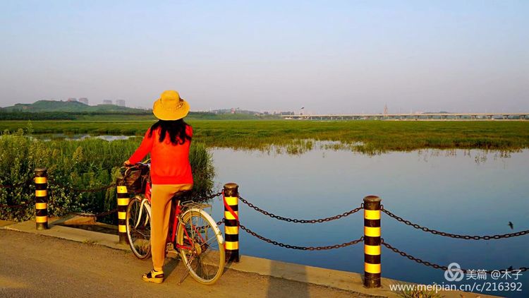 一花一叶总关情,一辆单车游古城,美哉正定!