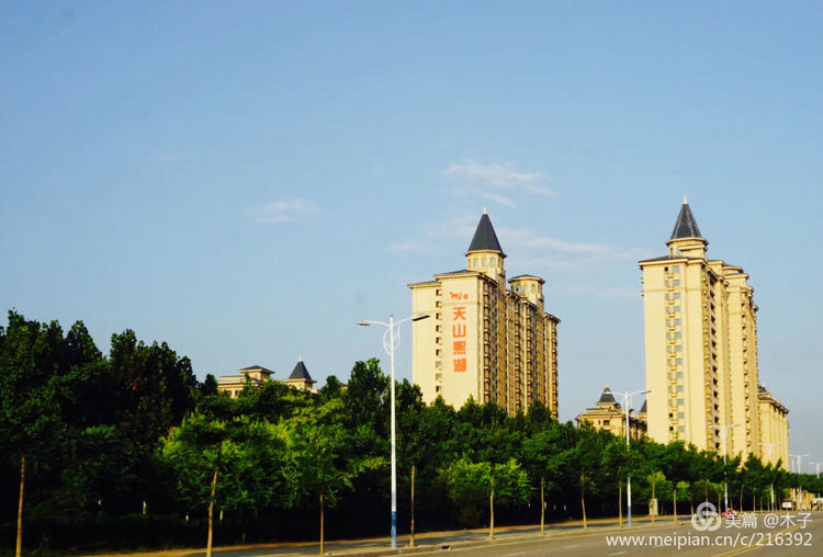 一花一叶总关情,一辆单车游古城,美哉正定!