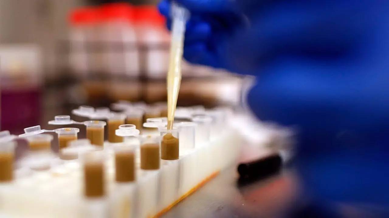 你狠心冲掉的便便，正成为许多肠胃病人的救星