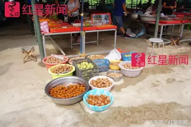 真相调查:文玩核桃再步玛卡后尘?从几万元一对到5元没人要?